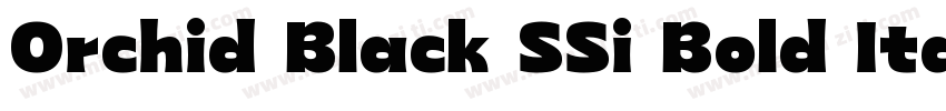 Orchid Black SSi Bold Italic字体转换